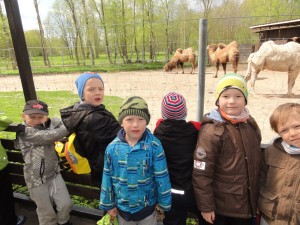 Meelespea loomaaias 2015