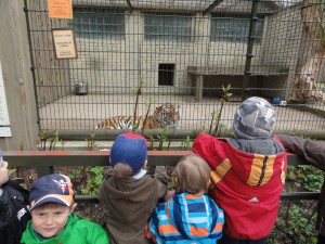 Meelespea loomaaias 2015